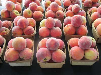 Peach Day 2018